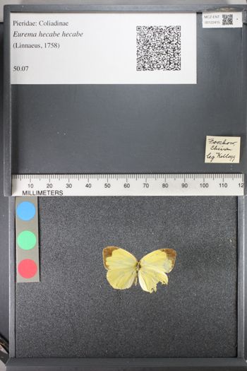 Media type: image;   Entomology 122415